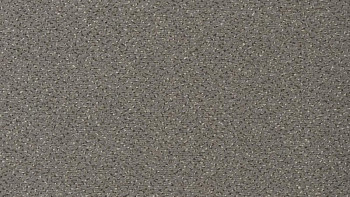 Ковролин Vorwerk Passion 1006 Vorwerk  5v43 фото 1 | FLOORDEALER