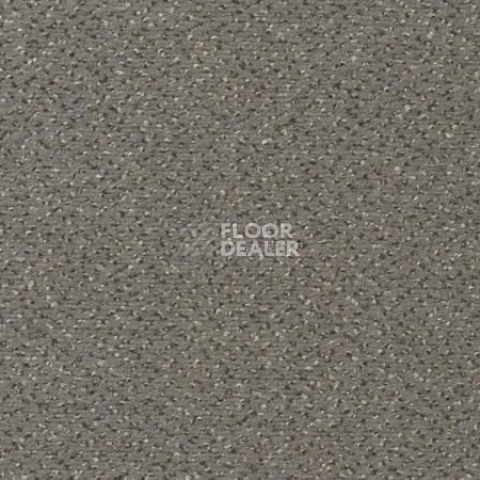 Ковролин Vorwerk Passion 1006 Vorwerk  5v43 фото 1 | FLOORDEALER