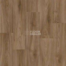 Линолеум Tarkett Комфорт Harvey 3 фото 1 | FLOORDEALER