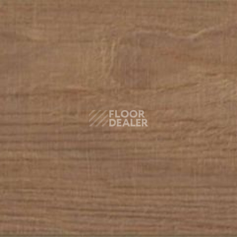 Evofloor Parquet Glue 2.5мм Rodsher (Родшер) фото 9 | FLOORDEALER