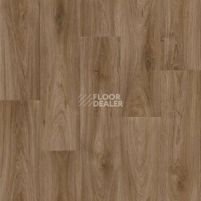 Линолеум Tarkett Комфорт Harvey 3 фото 1 | FLOORDEALER