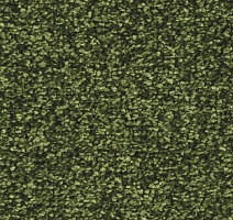 Ковролин Balsan Ultrasoft 270 фото 1 | FLOORDEALER