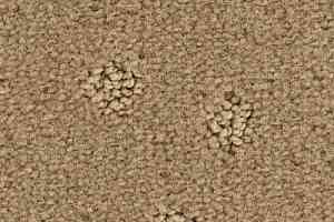 Ковролин Balsan Atoll 631 фото  | FLOORDEALER