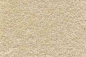 Ковролин AW Promenade 31 фото  | FLOORDEALER