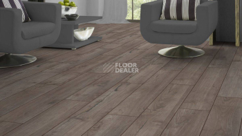 Kronotex Exquisit 8мм d3242 Тик Ностальжи Серебряный фото 3 | FLOORDEALER