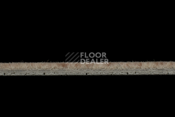 Forbo Flotex Colour Penang 50*50 t 382018 Penang Bamboo фото 3 | FLOORDEALER