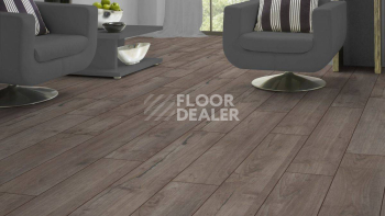 Kronotex Exquisit 8мм d3242 Тик Ностальжи Серебряный фото 3 | FLOORDEALER