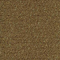 Desso Champion 2043 фото 1 | FLOORDEALER