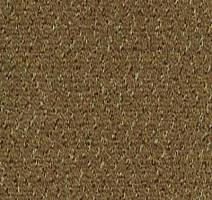 Ковролин Desso Champion 2043 фото 1 | FLOORDEALER