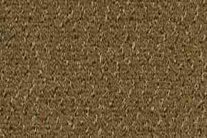 Ковролин Desso Champion 2043 фото  | FLOORDEALER