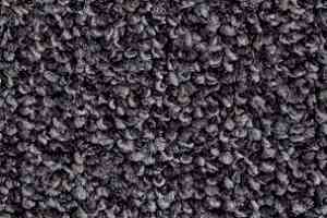 Ковролин Balsan Omega 998 фото  | FLOORDEALER