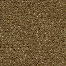 Desso Champion 2043 фото 1 | FLOORDEALER