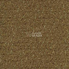 Ковролин Desso Champion 2043 фото 1 | FLOORDEALER