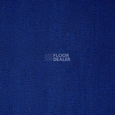 Ковролин Balta ITC President 76 фото 1 | FLOORDEALER