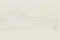 Пробковое покрытие Corkstyle Wood OAK POLAR WHITE фото 1 | FLOORDEALER
