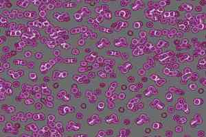 Ковролин Flotex Sottsass Bacteria 990301 фото  | FLOORDEALER