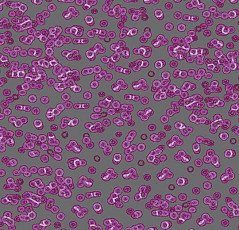 Ковролин Flotex Sottsass Bacteria 990301 фото 1 | FLOORDEALER