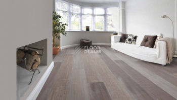 Kronotex Mammut Plus d4738 Дуб Северный фото 10 | FLOORDEALER