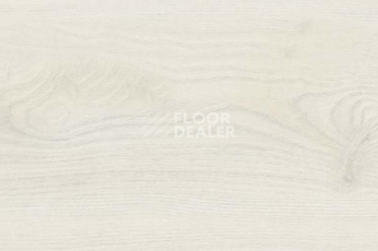 Пробковое покрытие Wood OAK POLAR WHITE фото 1 | FLOORDEALER