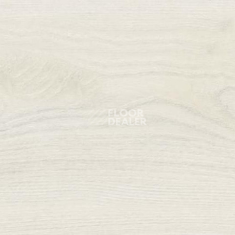 Пробковое покрытие Wood OAK POLAR WHITE фото 1 | FLOORDEALER