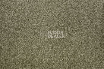 Big Ideal Satine Deluxe 229 фото 2 | FLOORDEALER
