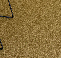 Ege Epoca Contra Ecotrust