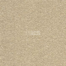 Ковролин AW Nectar 35 фото 1 | FLOORDEALER