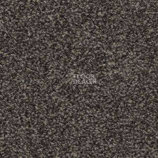 Ковролин AW Timeless 49 фото 1 | FLOORDEALER