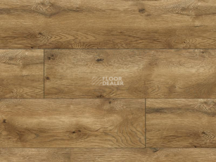 Classen Arteo 10XL WR 54845 Serengeti Oak /10XL фото 1 | FLOORDEALER