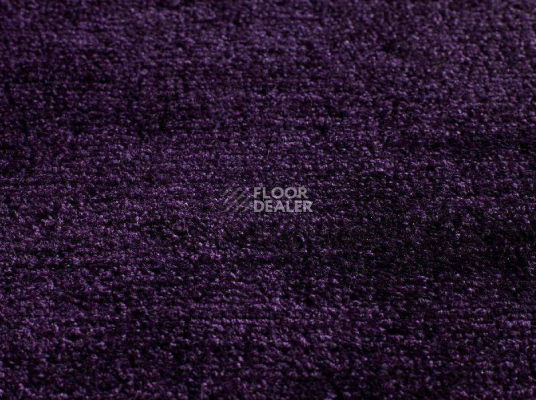 Ковролин Jacaranda Carpets Satara Damson фото 1 | FLOORDEALER