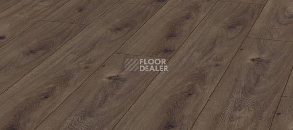 Ламинат Kronotex Exquisit 8мм d4168 Дуб Престиж Темный фото 1 | FLOORDEALER