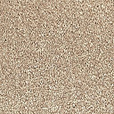 Ковролин Vorwerk Passion 1001 Vorwerk 8h89  | FLOORDEALER