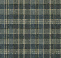 Ковролин Flotex Vision Pattern 590023 (Plaid) Fern фото 1 | FLOORDEALER