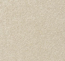 Ковролин Vorwerk Passion 1004 Vorwerk 6c56 фото 1 | FLOORDEALER