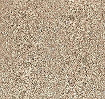 Ковролин Vorwerk Passion 1001 Vorwerk 8h89 фото 1 | FLOORDEALER