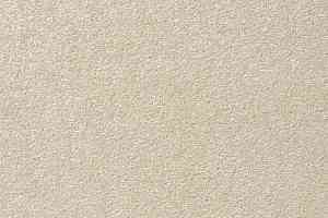 Ковролин Vorwerk Passion 1004 Vorwerk 6c56 фото  | FLOORDEALER