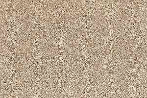 Ковролин Vorwerk Passion 1001 Vorwerk 8h89 фото  | FLOORDEALER