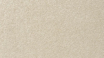 Ковролин Vorwerk Passion 1004 Vorwerk 6c56 фото 1 | FLOORDEALER