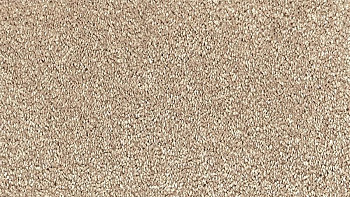 Ковролин Vorwerk Passion 1001 Vorwerk 8h89 фото 1 | FLOORDEALER