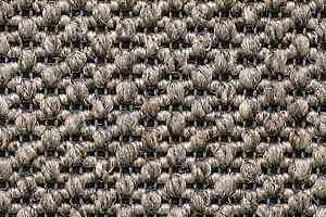 Ковролин Carpet Concept Eco Tre 681054 фото  | FLOORDEALER