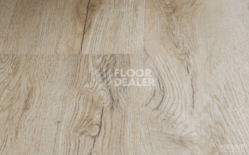 Vinilam Cork Premium Click 8мм 33488 Дуб Валенсия фото 2 | FLOORDEALER