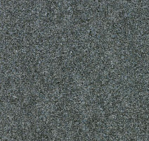 Ковролин Forbo Forte 96001 Silver фото 1 | FLOORDEALER