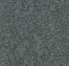 Forbo Forte 96001 Silver фото 1 | FLOORDEALER