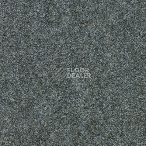 Ковролин Forbo Forte 96001 Silver фото 1 | FLOORDEALER