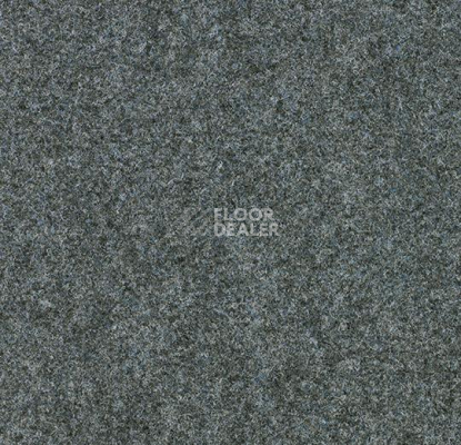 Ковролин Forbo Forte 96001 Silver фото 1 | FLOORDEALER