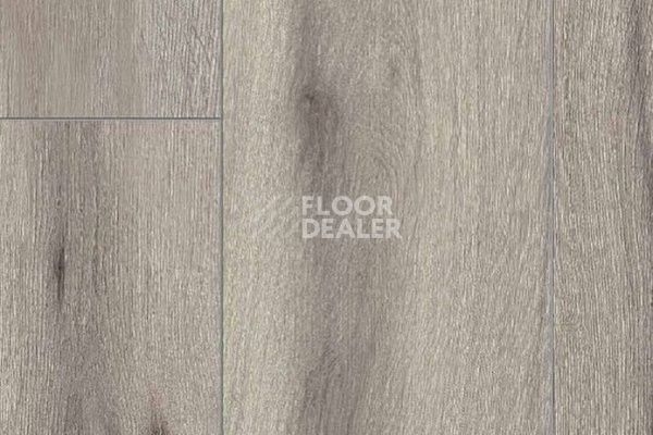 Ламинат My Floor Chalet 10мм Аризона серый M1022 фото 1 | FLOORDEALER