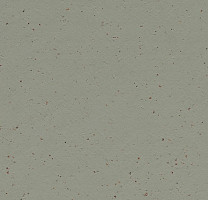 Линолеум Forbo Marmoleum Solid Cocoa 3588 eucalyptus фото 1 | FLOORDEALER