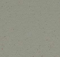 Линолеум Forbo Marmoleum Solid Cocoa 3588 eucalyptus фото 1 | FLOORDEALER