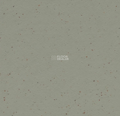 Forbo Marmoleum Solid Cocoa 3588 eucalyptus фото 1 | FLOORDEALER