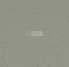 Линолеум Forbo Marmoleum Solid Cocoa 3588 eucalyptus фото 1 | FLOORDEALER